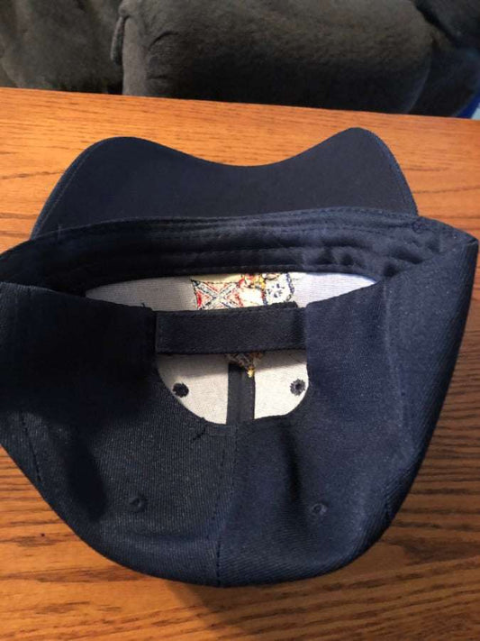 In Dixieland I'll Take My Stand Embroidered Navy Blue Cap Hat