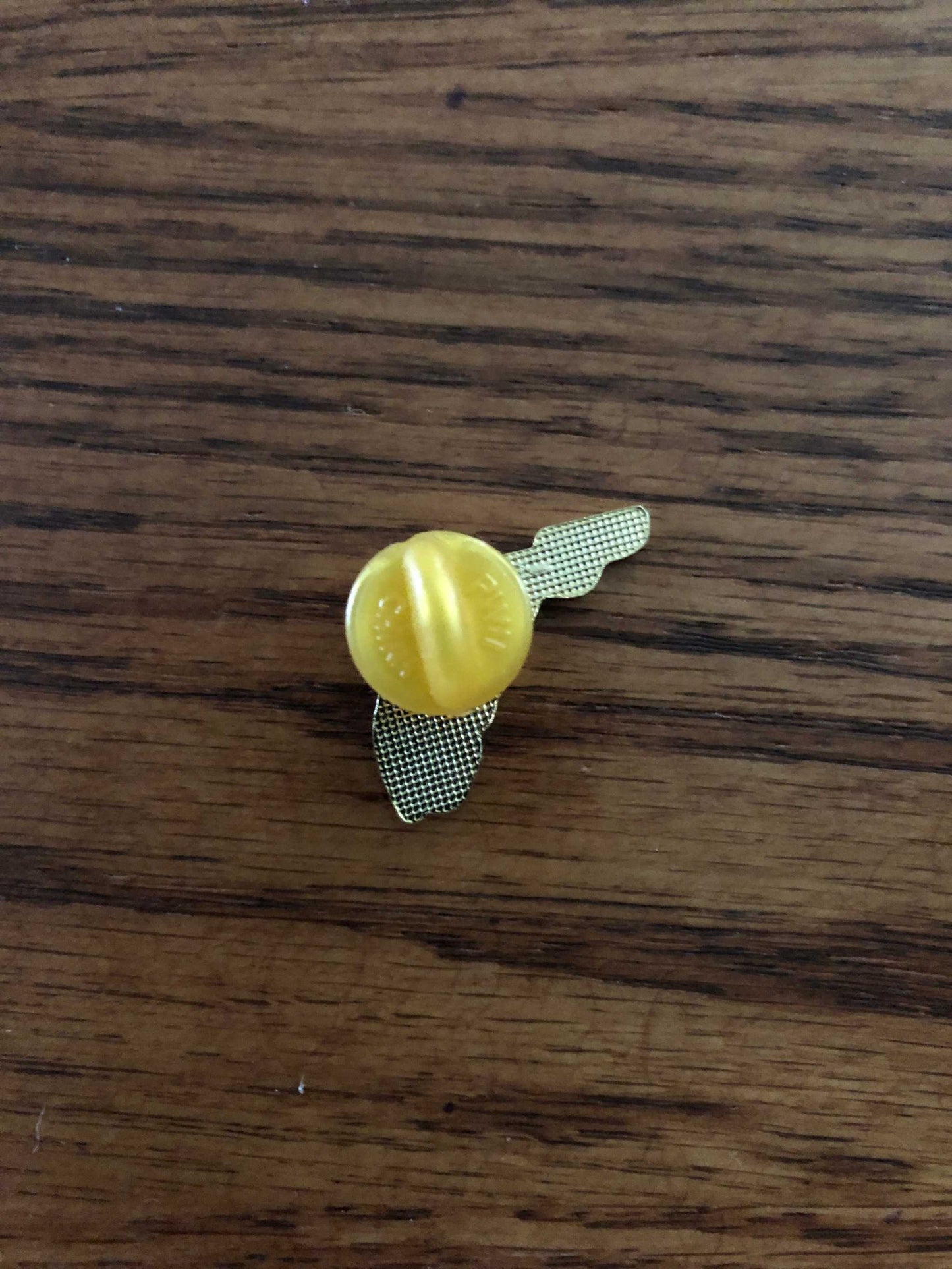 Florida State Hat Pin reverse side