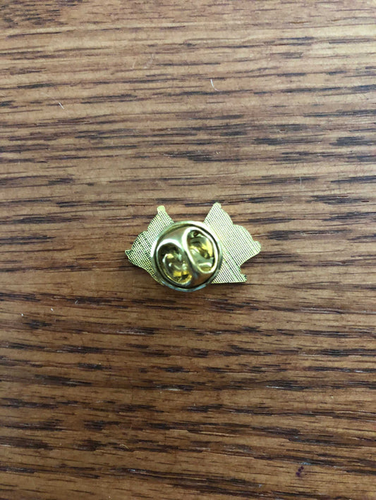 USA-CSA Crossed Flags with Eagle Hat Pin featuring crossed American and Confederate flags with an eagle and gold-tone finish