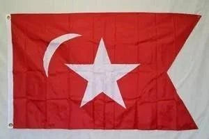 South Carolina Secession Flag