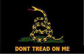 Black Gadsden Dont Tread On Me