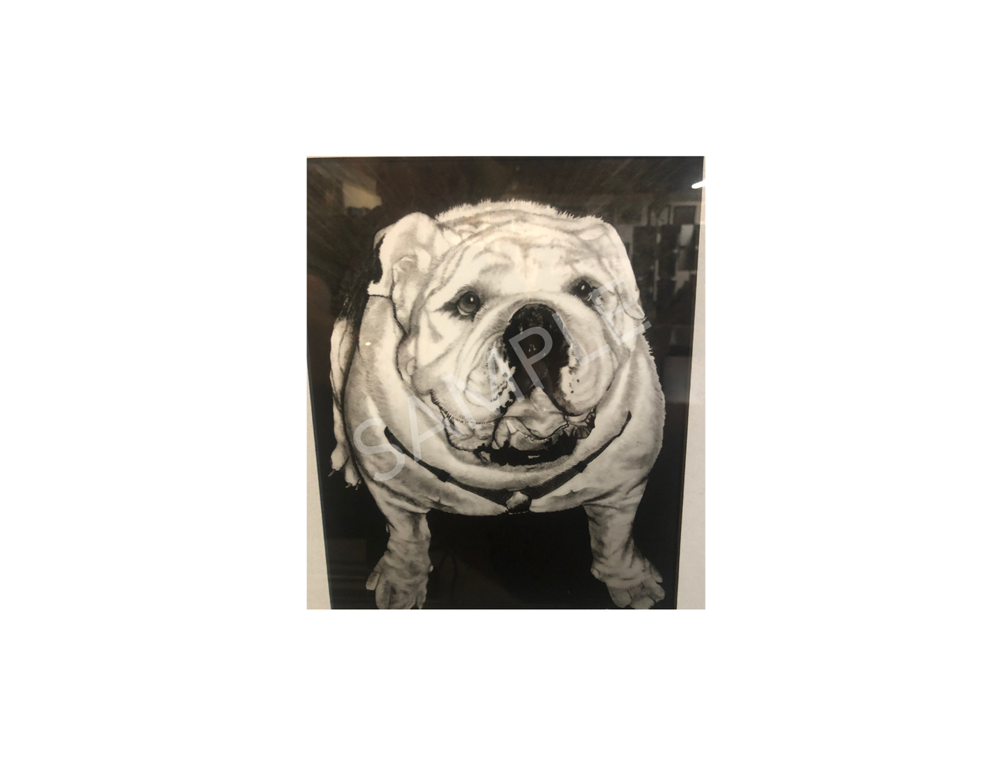 The Bulldog Print Unframed Signed by the Artist
