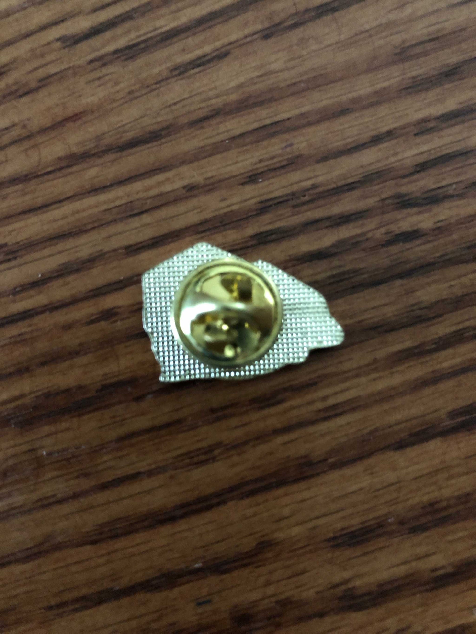 South Carolina State SC Hat Pin
